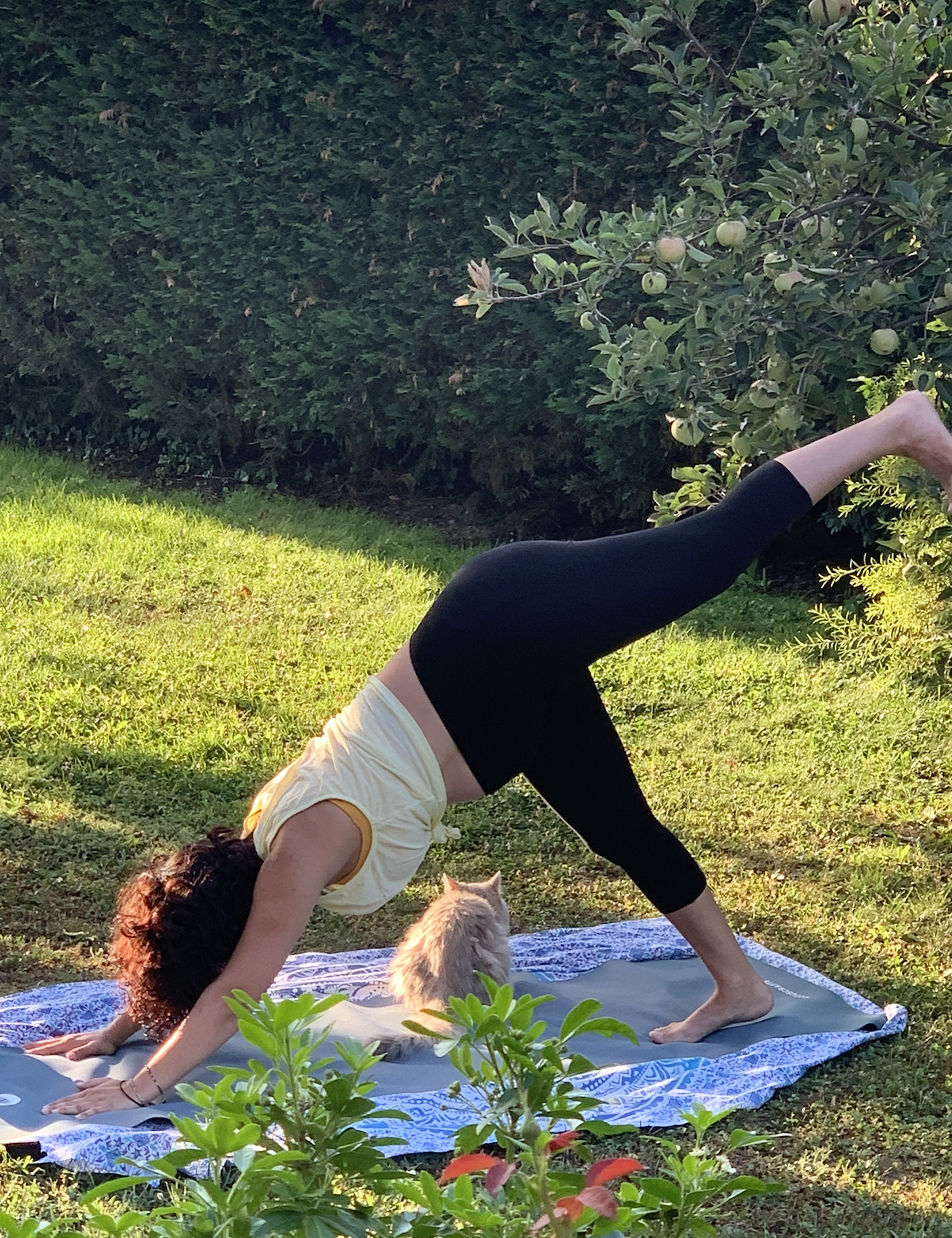 Marie-Mathilde enceinte de 7 mois faisant du yoga avec sa chatte Meïko