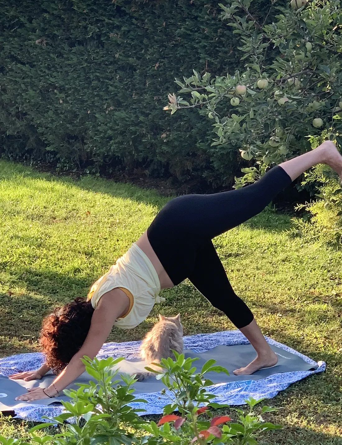 Marie-Mathilde enceinte de 7 mois faisant du yoga avec sa chatte Meïko